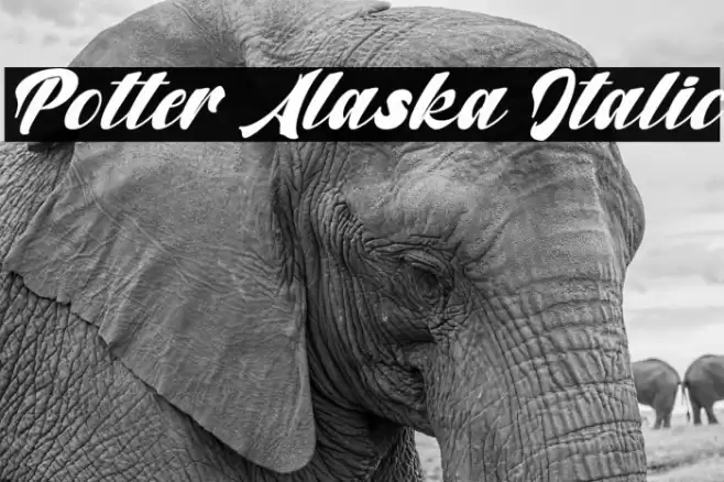 Potter Alaska Italic Font examples