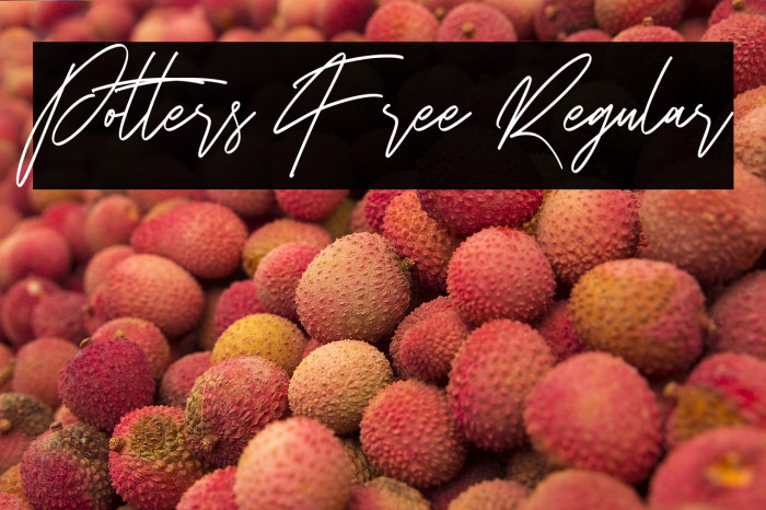 Potters Free Regular Example 2