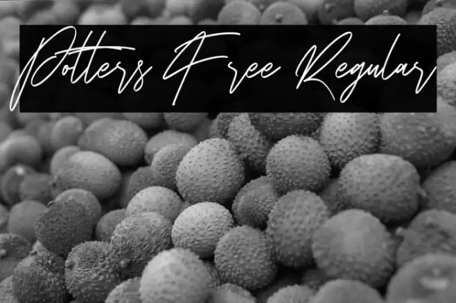 Potters Free Regular Caratteri examples