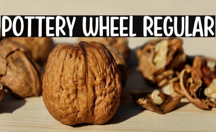 Pottery Wheel Regular Example 3