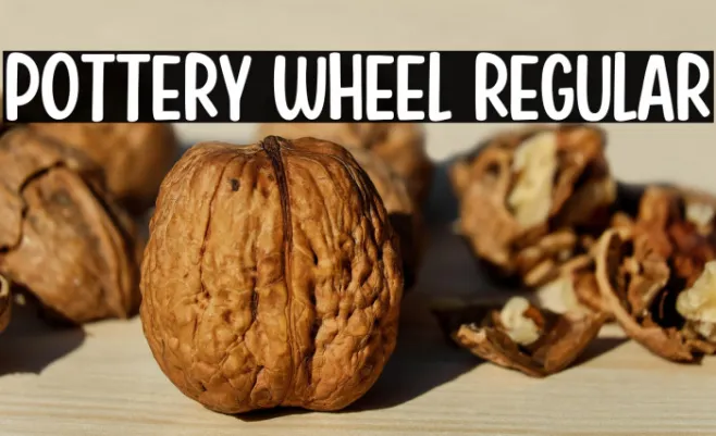 Pottery Wheel Regular Example 3