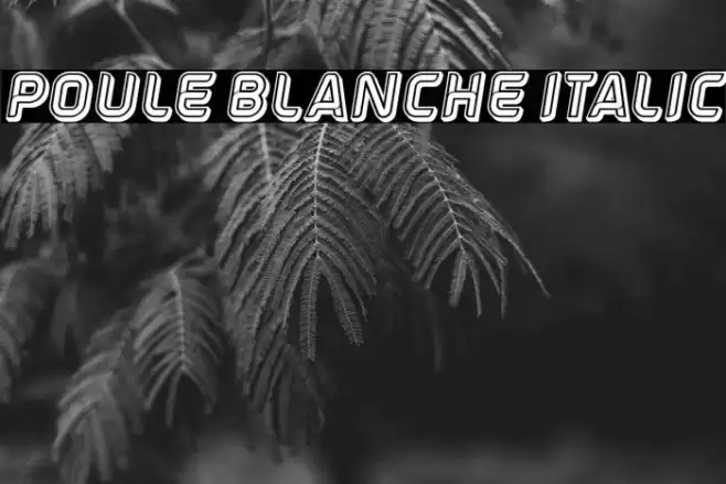 Poule Blanche Italic Font examples