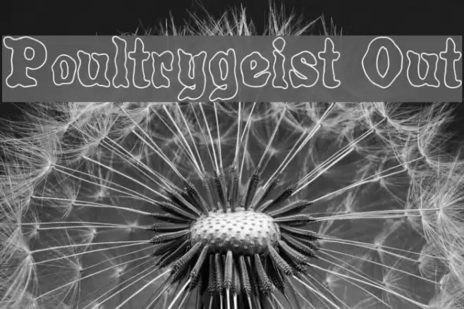 Poultrygeist Out Fonte examples