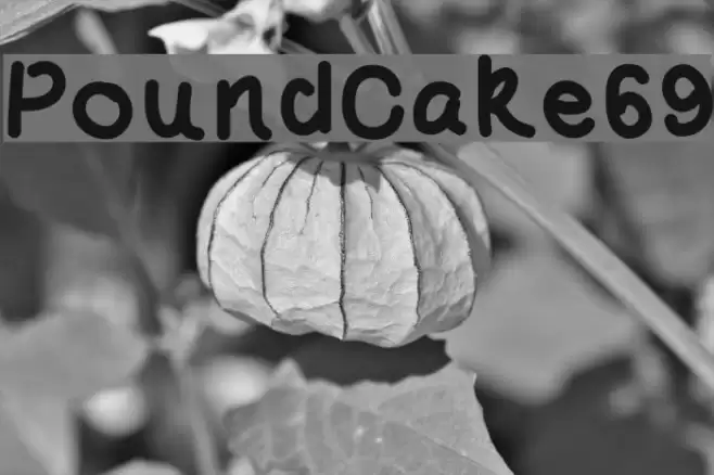PoundCake69 Font examples
