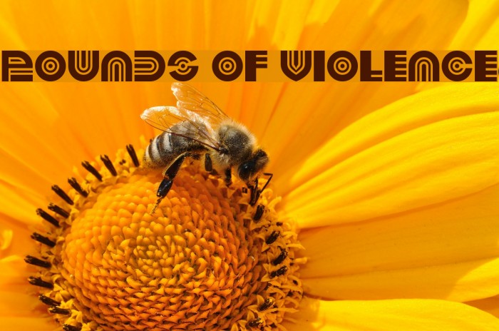 Pounds of Violence Font examples