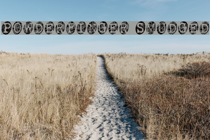 Powderfinger Smudged Font examples