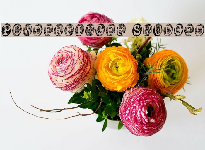 Powderfinger Smudged Font examples