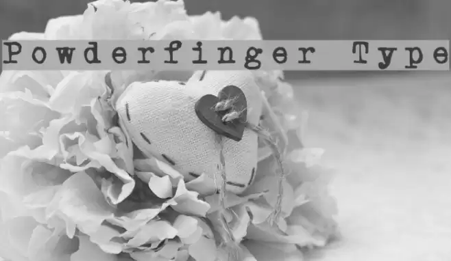 Powderfinger Type Шрифта examples