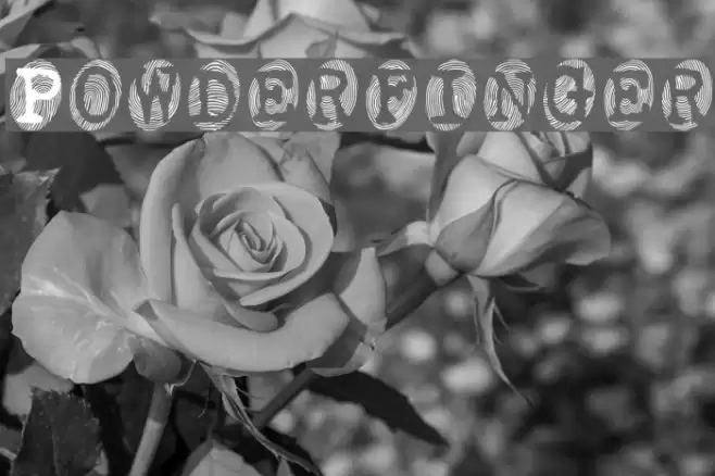 Powderfinger Font examples
