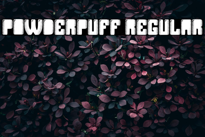 Powderpuff Regular Example 1