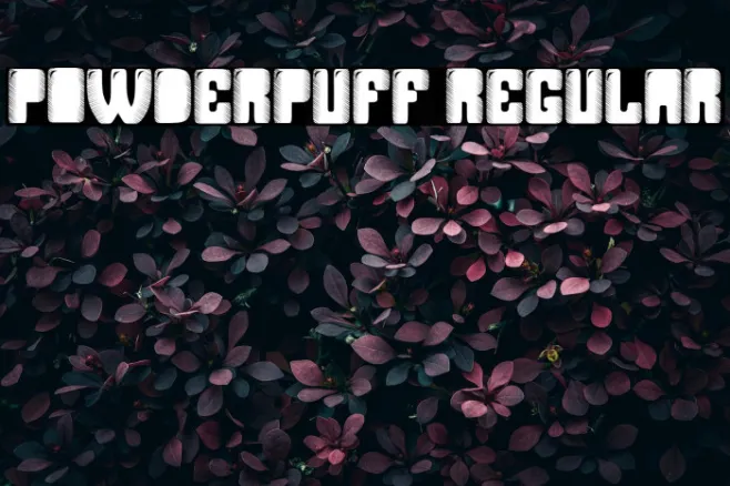 Powderpuff Regular Example 1