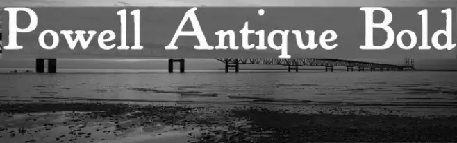 Powell Antique Bold Font examples