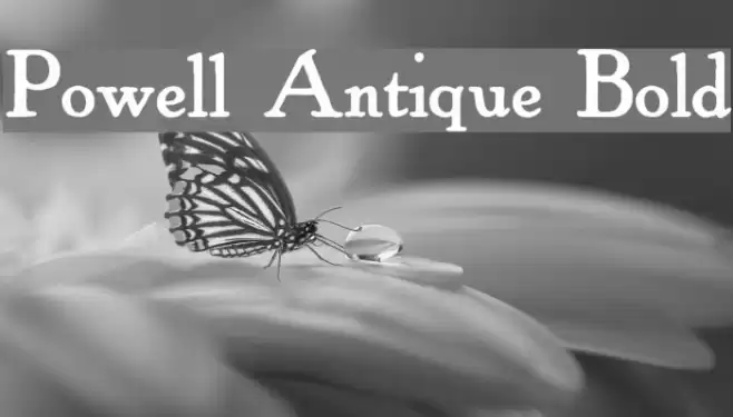 Powell Antique Bold Font examples