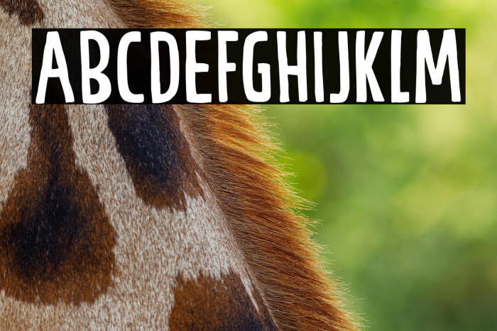 Power Breakfast DEMO Regular Example 2