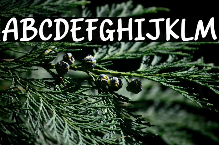 Power Chocolate Example 3