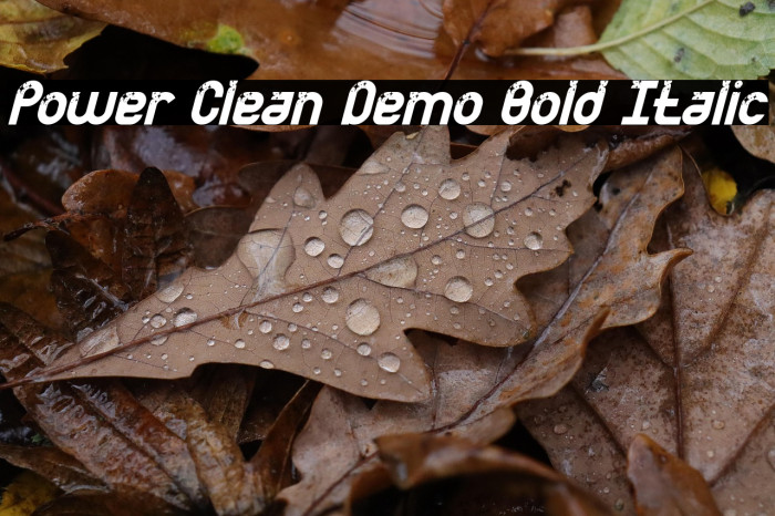 Power Clean Demo Bold Italic Example 1