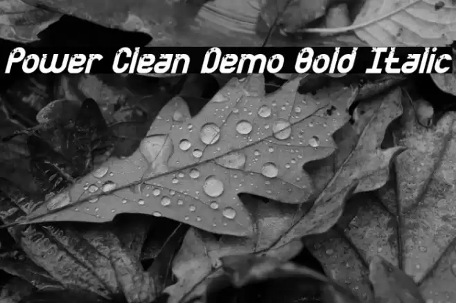 Power Clean Demo Bold Italic Font examples