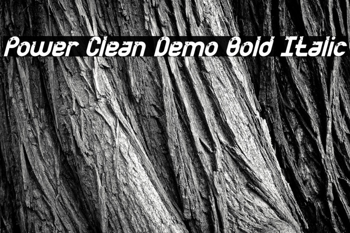 Power Clean Demo Bold Italic Example 2