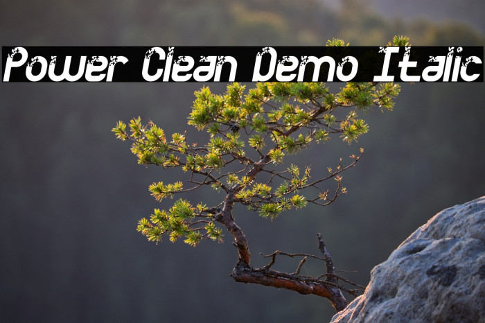 Power Clean Demo Italic Example 2