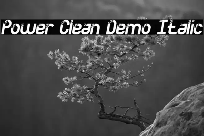 Power Clean Demo Italic फ़ॉन्ट examples