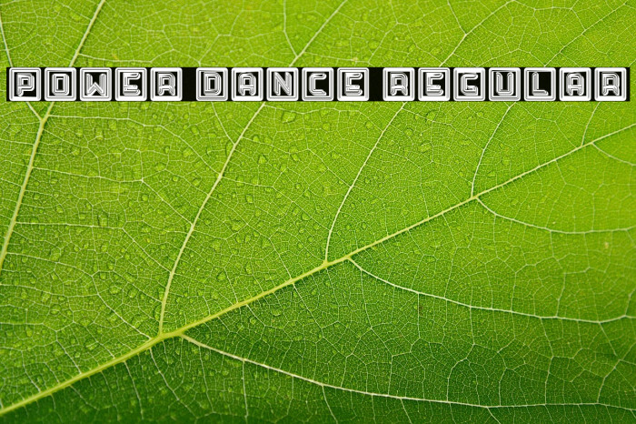 Power Dance Regular Example 2