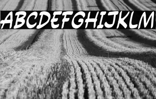 Power Entry Schriftart examples