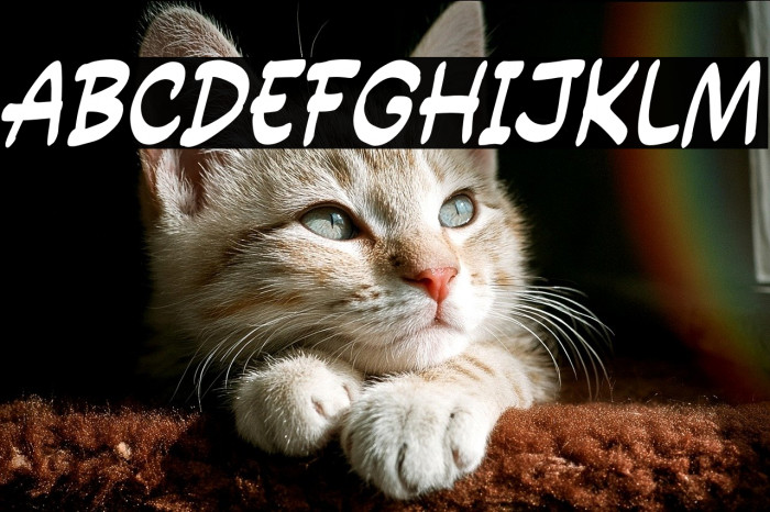 Power Entry Example 3