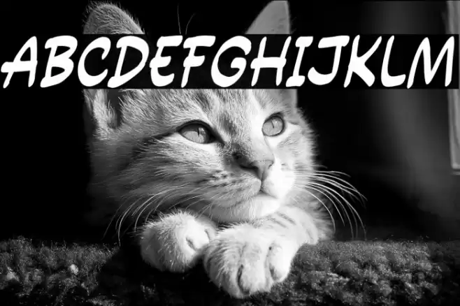 Power Entry Schriftart examples