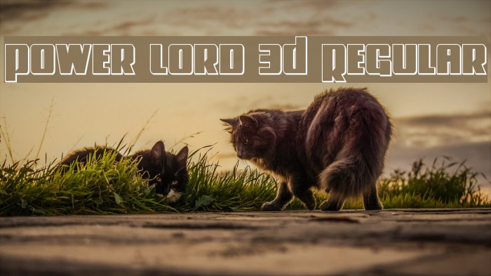 Power Lord 3D Regular Example 1