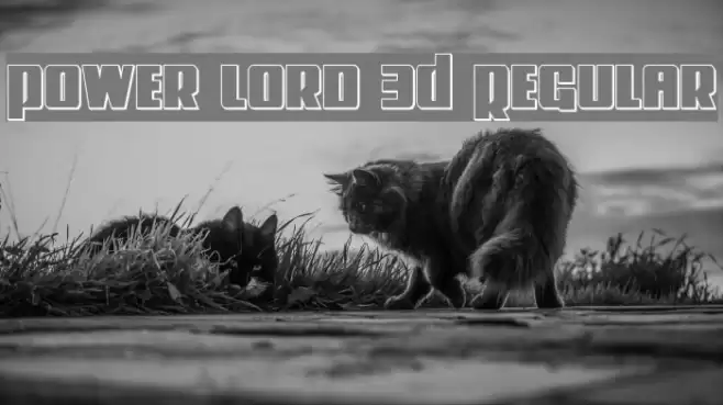Power Lord 3D Regular Font examples