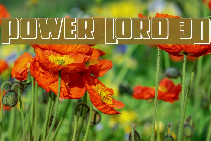 Power Lord 3D Font examples