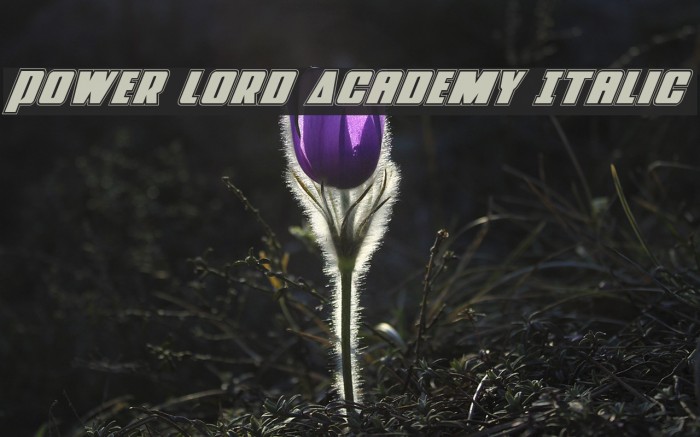 Power Lord Academy Italic Example 2