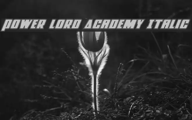 Power Lord Academy Italic Font examples