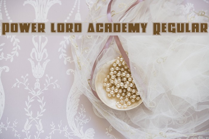 Power Lord Academy Regular Example 2
