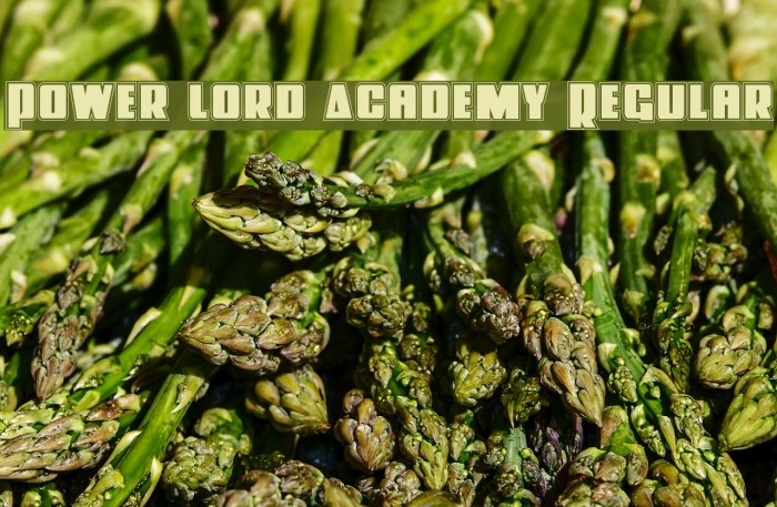 Power Lord Academy Regular Example 3