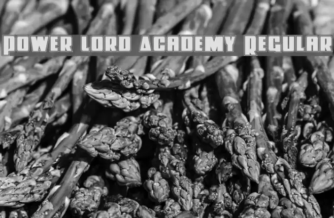 Power Lord Academy Regular Font examples
