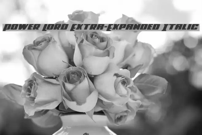 Power Lord Extra-Expanded Italic Font examples