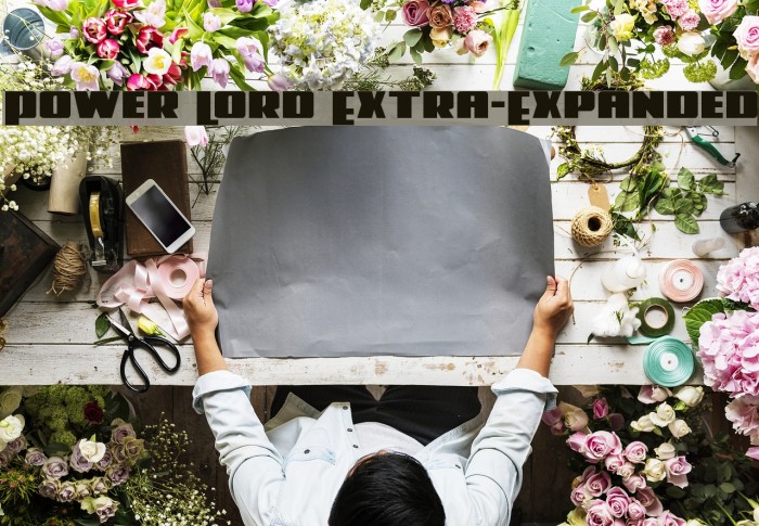 Power Lord Extra-Expanded Example 3