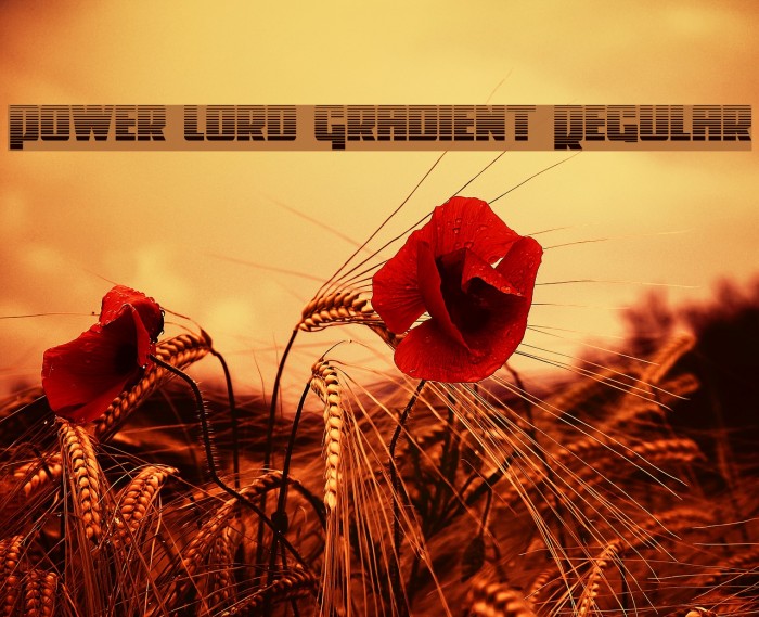 Power Lord Gradient Regular Example 2