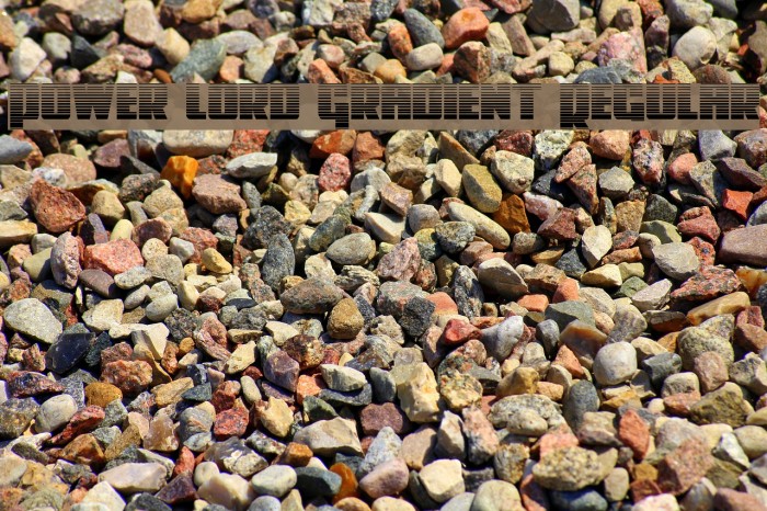 Power Lord Gradient Regular Example 3