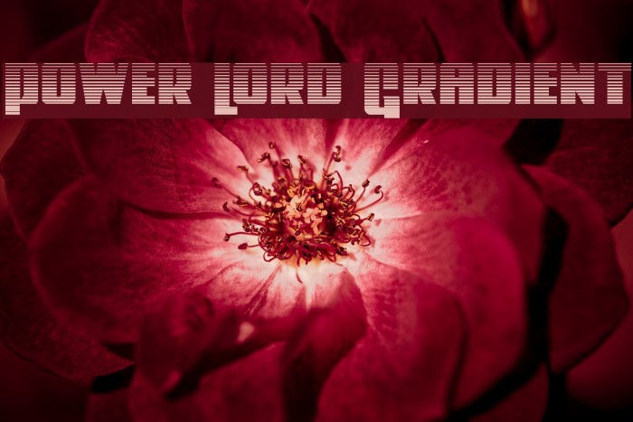 Power Lord Gradient Font examples