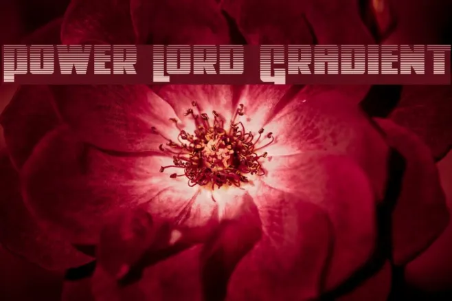 Power Lord Gradient Example 2