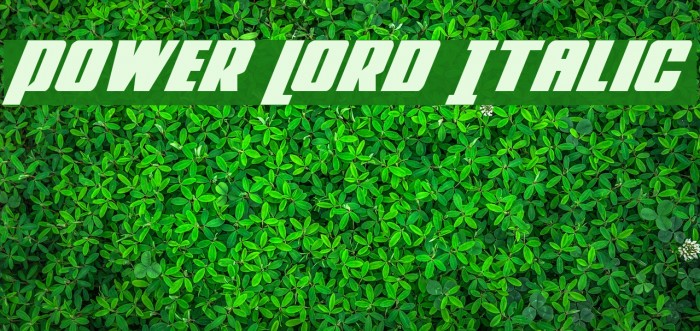 Power Lord Italic Font examples