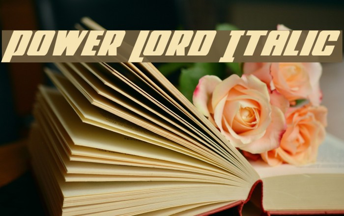 Power Lord Italic Font examples