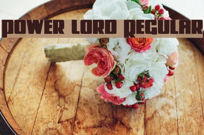 Power Lord Regular Font examples