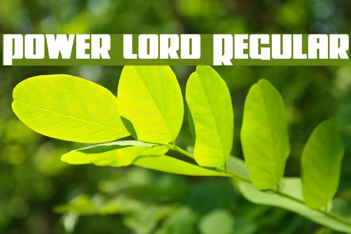 Power Lord Regular Font examples