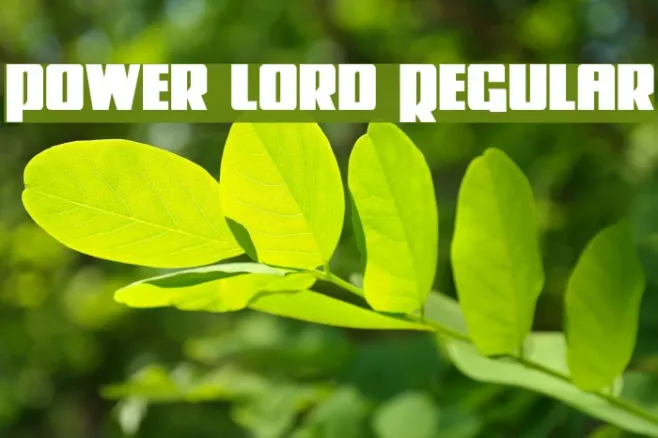 Power Lord Regular Example 3