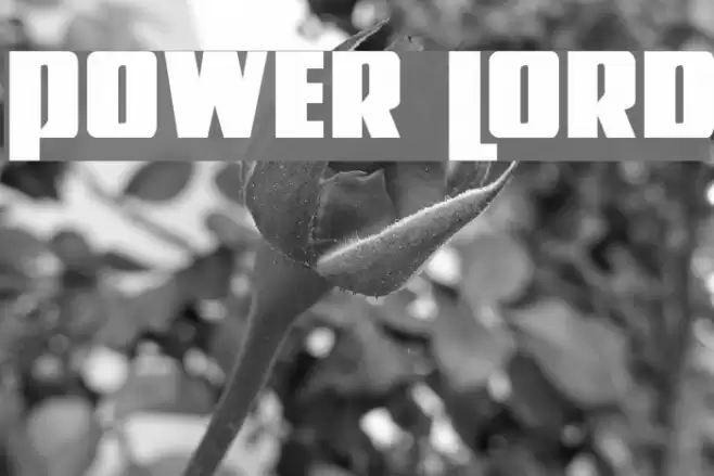 Power Lord Font examples