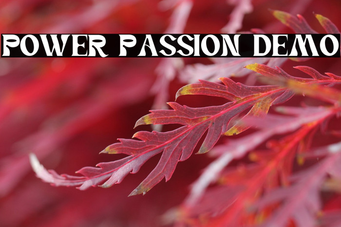 Power Passion Demo Example 2