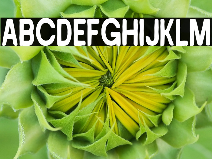 Power Slime Example 3